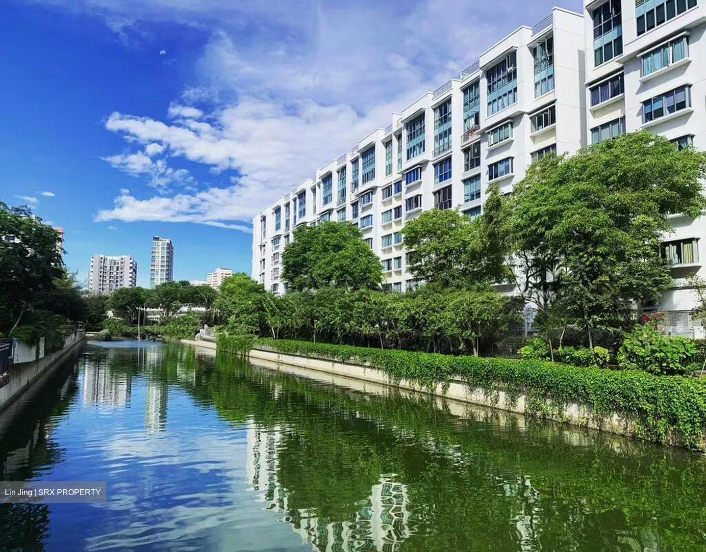 The Sunny Spring (D14), Apartment #517065351